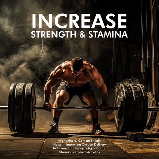 Vitaminnica Shilajit Resin- Pure Organic Himalayan Shilajit with Trace Minerals & Fulvic Acid