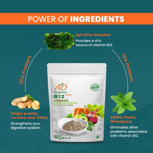 Ao Organic Natural Plant Base B12 Powder