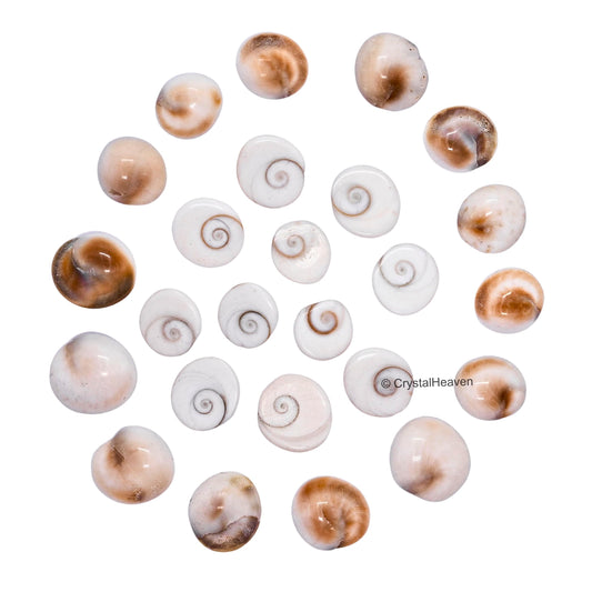 Certified Gomati Chakra Original River Stones - 11 Pieces Gomti Chakra Original from Gomathi River Dwarka (11 Pieces)