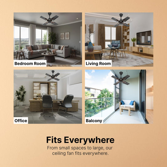 Candes Brio Turbo 600 mm / 24 Inch High Speed 4 Blade Anti-Dust Ceiling Fan Suitable for Kitchen/Veranda/Balcony/Small Room (Pack of 1,Smoke Brown)