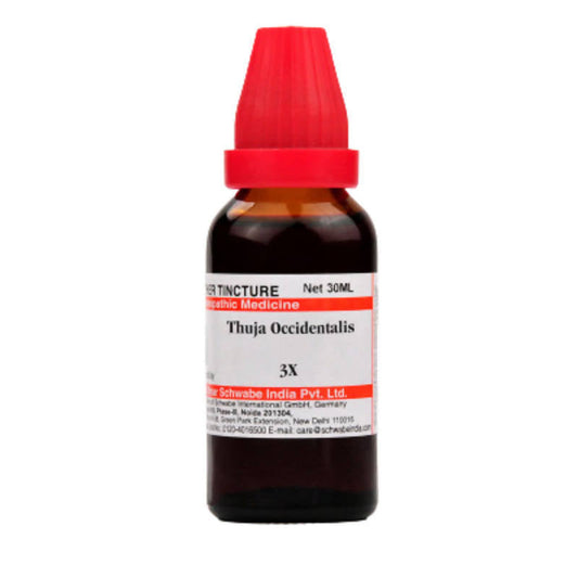 Dr. Willmar Schwabe India Thuja Occidentalis Mother Tincture Q