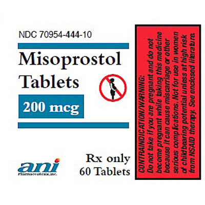 Misoprostol Tablets 200 mcg 60 Tablets (Rx)