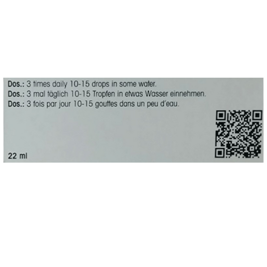 Dr. Reckeweg R 193 Immune System Fortifier Drop