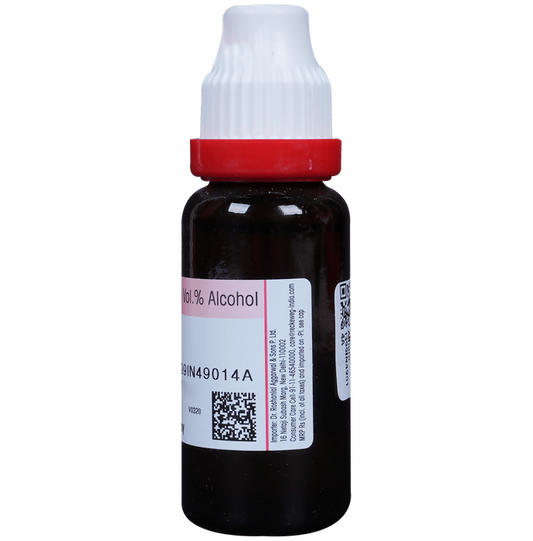 Dr. Reckeweg Allium Sativum Mother Tincture Q