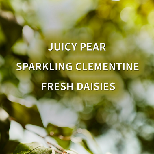 Bath & Body Works Gingham Fresh Daily Nourishing Body Lotion