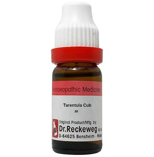 Dr. Reckeweg Tarentula Cub Dilution
