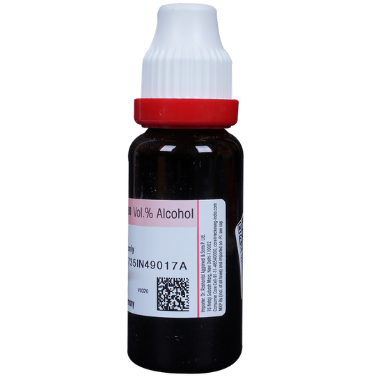Dr. Reckeweg Gymnema Syl Mother Tincture Q