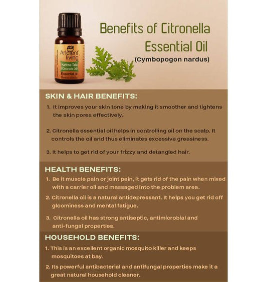 Ancient Living Kattrina Taila (Citronella Oil) Essential Oil