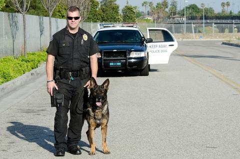 K9 Naloxone kit to Treat Dog Overdoses (Rx)