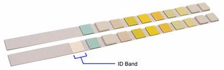 Bayer 2161 Multistix 10 SG Reagent Strips 100/Bottle