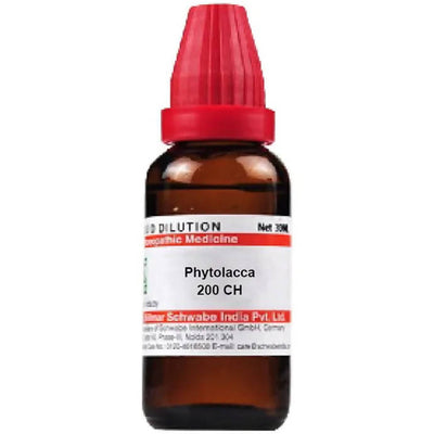 Dr. Willmar Schwabe India Phytolacca Dilution