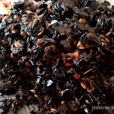 Amaltaas Pulp - Cassia Fistula Pulp