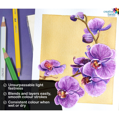BRUSTRO Artists Watercolour Pencil |Set of 24 (in Elegant tin Box)|Ideal for Artists, Students, Drawing,Colouring,Painting on Paper, water soluble, Professional Quality, Break-resistant,Vibrant Colors