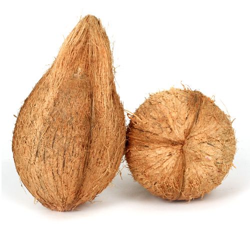 Coconut - Large, 1 pc