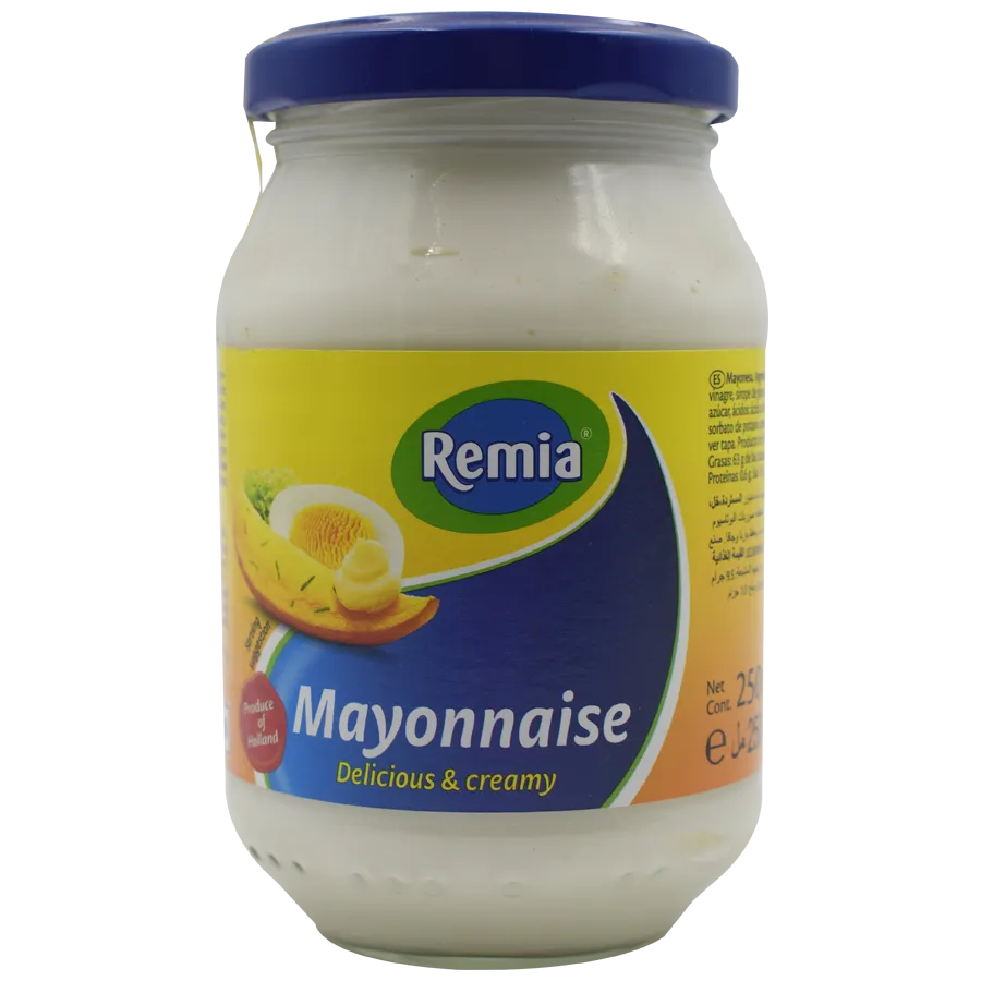 Remia Delicious & Creamy Mayonnaise, 240 g Jar