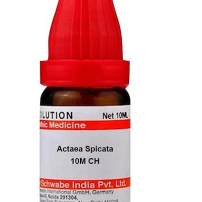 Dr. Willmar Schwabe India Actaea Spicata Dilution