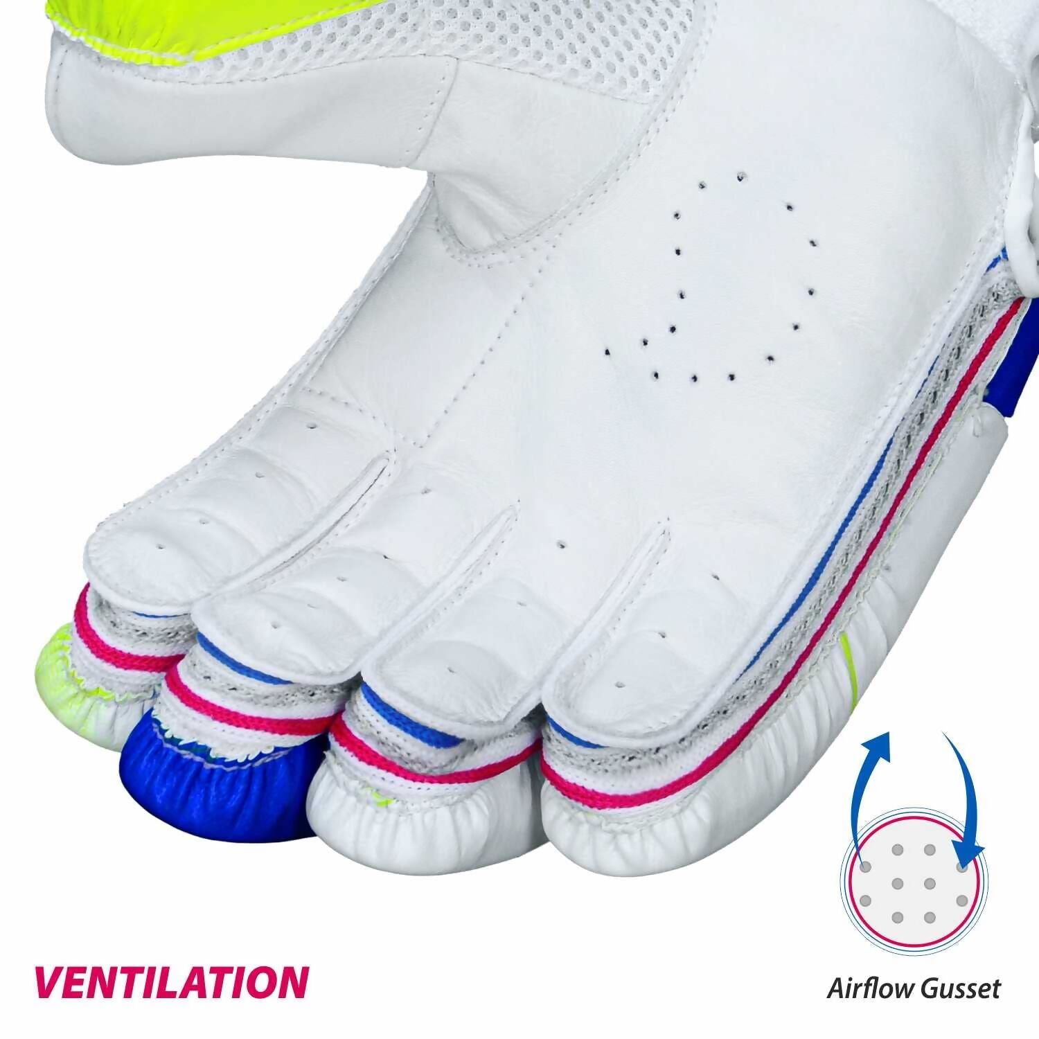DSC Intense Attitude Men's Cricket Batting Gloves (Colour May Vary)