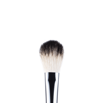Anastasia Beverly Hills Brush A23