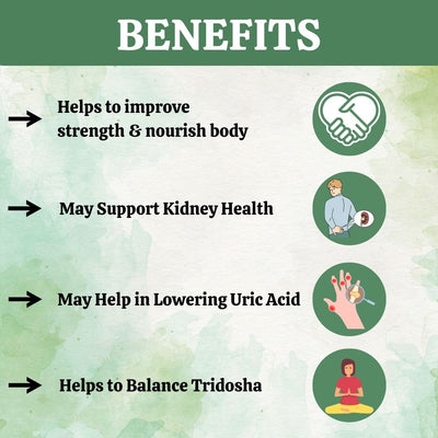 Herbal Hills Ayurveda Gokshur Powder