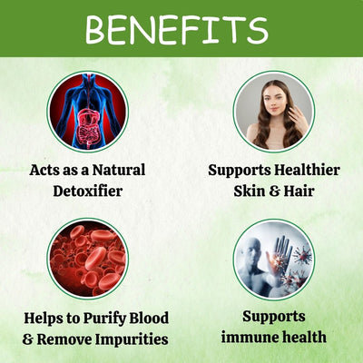 Herbal Hills Ayurveda Neem Powder