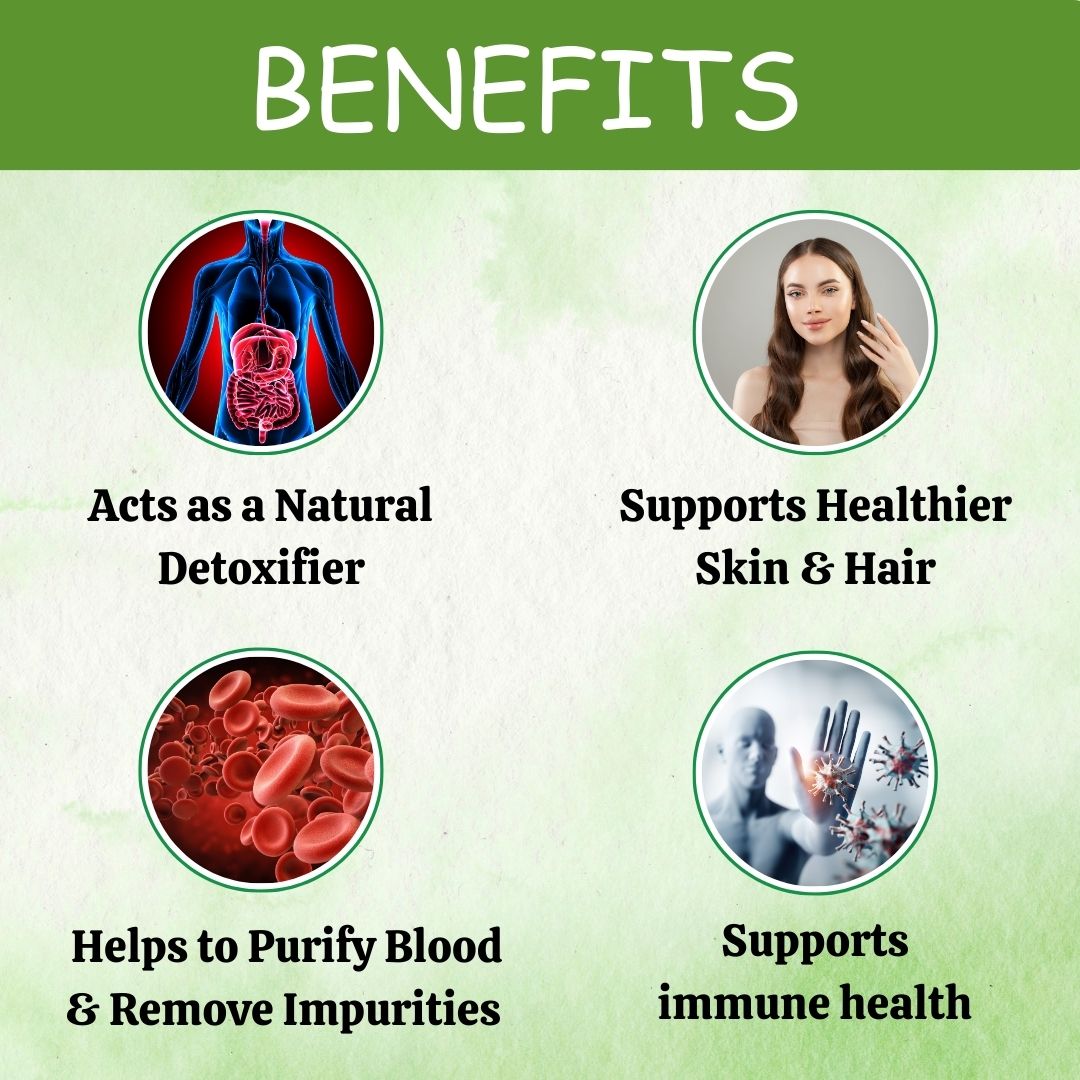 Herbal Hills Ayurveda Neem Powder