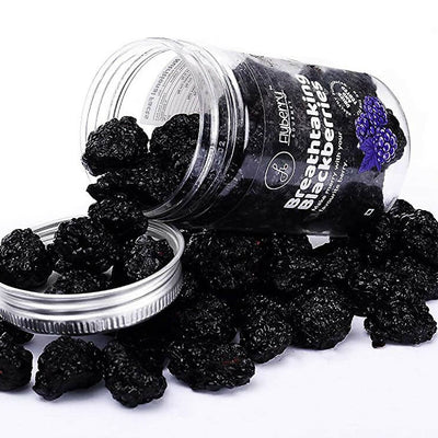 Flyberry Gourmet Dried Breathtaking Blackberries