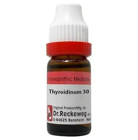 Dr. Reckeweg Typhodinum Dilution