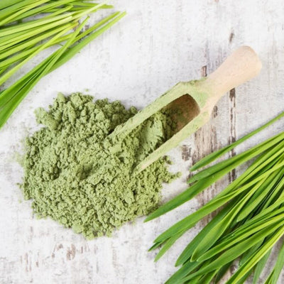24 Mantra Organic Wheat Grass Powder