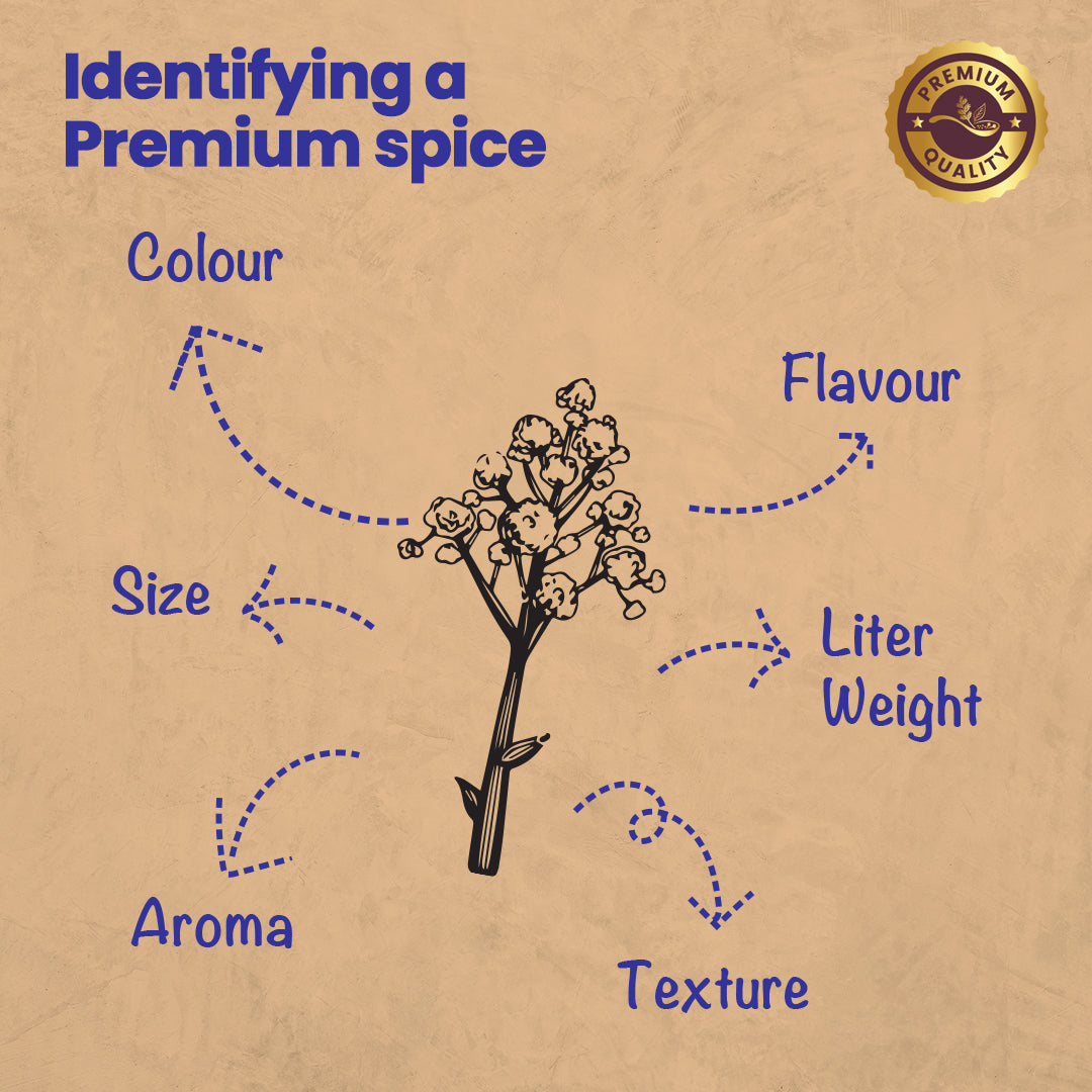 CRISTA Daily Ground Spices (Masala) Combo Pack - 1