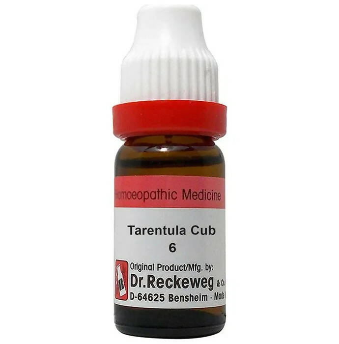 Dr. Reckeweg Tarentula Cub Dilution
