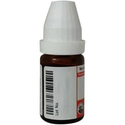 Dr. Willmar Schwabe Germany Apis mellifica Dilution