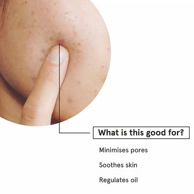 BeBodywise Pore Minimizing Toner For Women