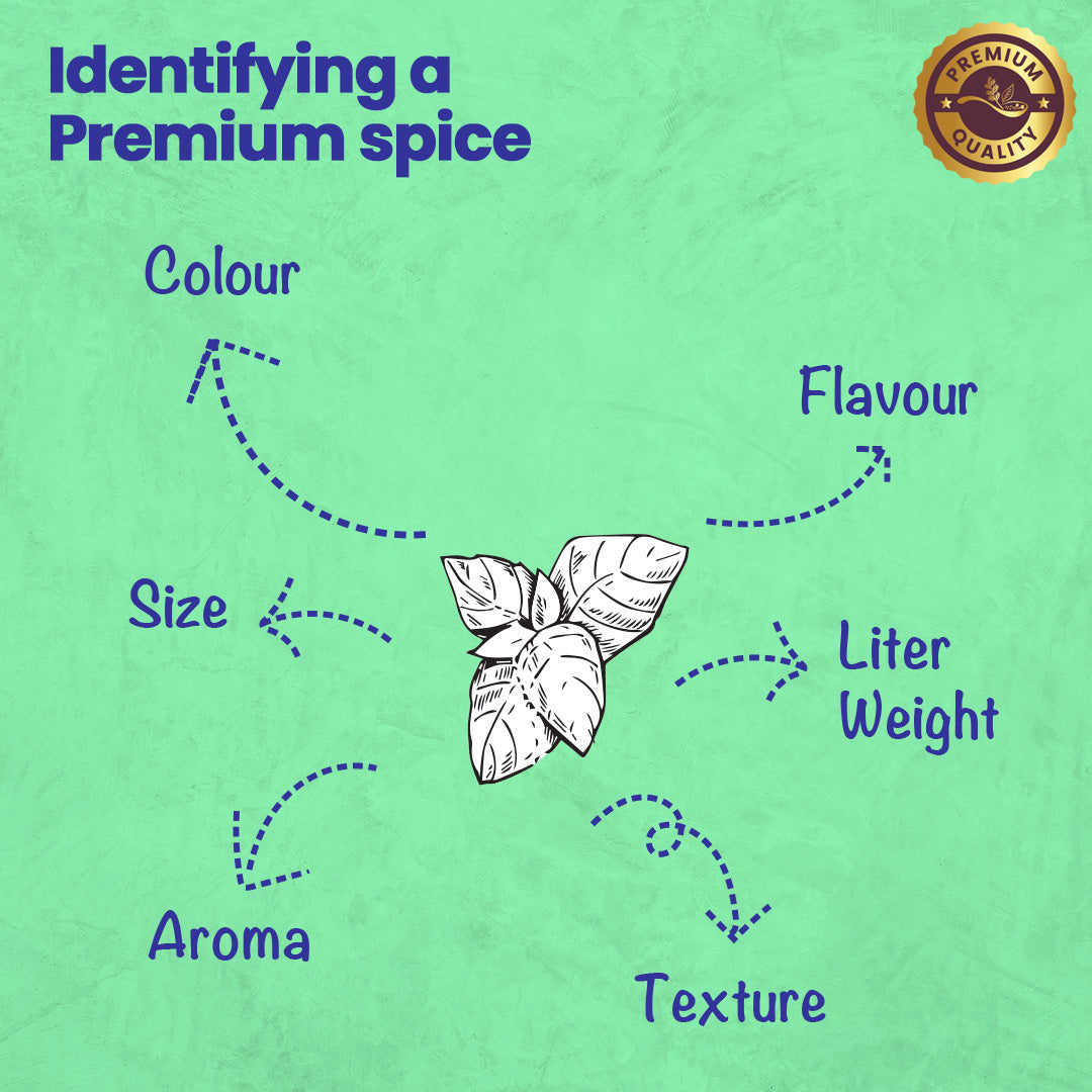 CRISTA Basic Italian Spices Combo Pack
