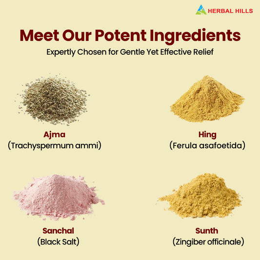 Herbal Hills Ayurveda Aramhills Powder