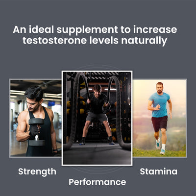 Dr Morpen Testo Boost And Multivitamin Men -With Omega 3 & Herbs /Energy & Immunity Booster