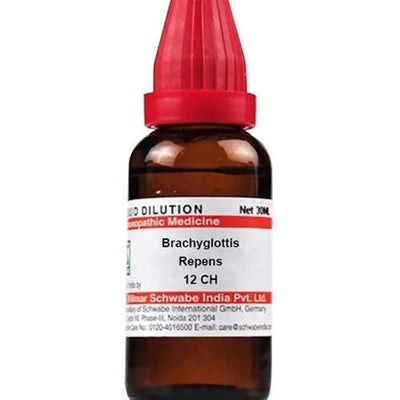 Dr. Willmar Schwabe India Brachyglottis Repens Dilution