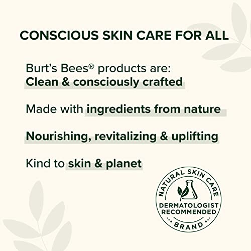 Burt's Bees 100% Natural Moisturizing Lip Balm, Coconut & Pear with Beeswax & Fruit Extracts - 2 Tubes