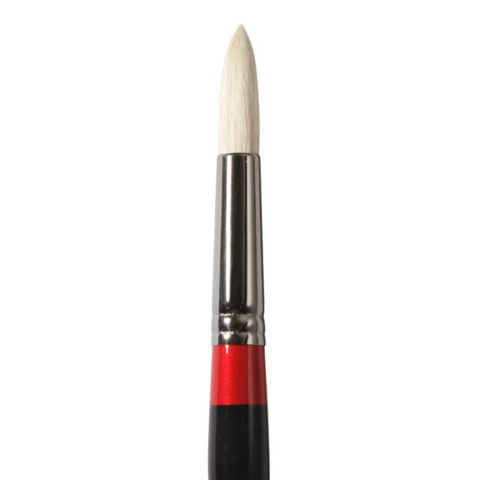 Daler-Rowney Georgian Long Handle Round Bristle Natural Hair G24 Oil Color Brush (No 10)