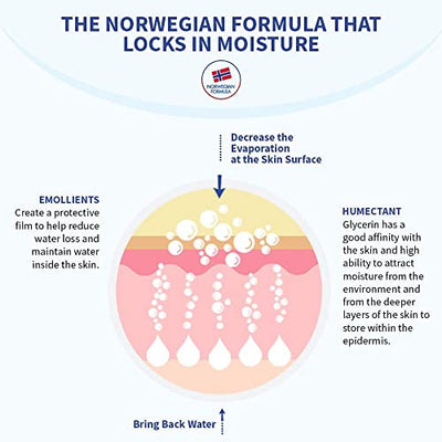 Neutrogena Norwegian Formula Body Moisturizer For Dry Skin 24 Hour Moisturization , 250ml