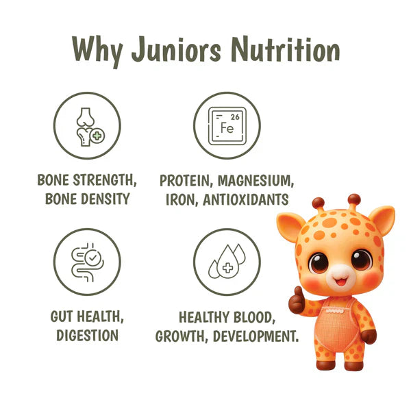 Junior's Nutrition Buckwheat Apple Pancake for Young Kids (1+ Years) | 400 gms