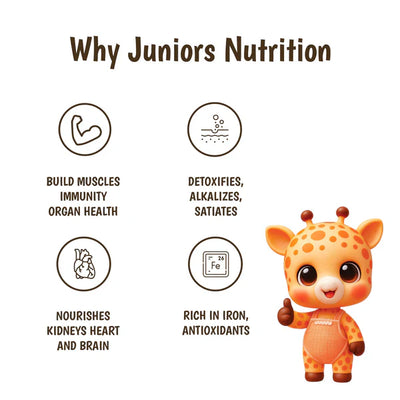 Junior's Nutrition Instant Makhana Kheer For Young Kids (6+ Months) | 500 gms
