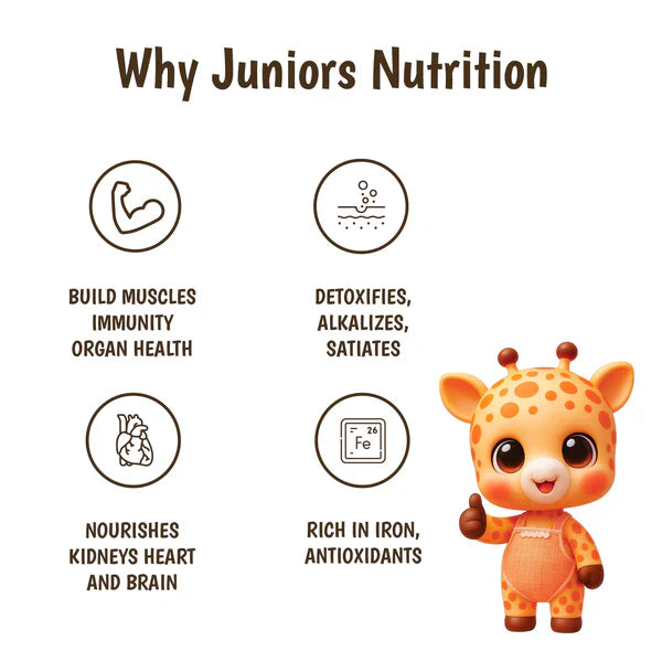 Junior's Nutrition Instant Poha Mix For Young Kids (6+ Months) | 500 gms