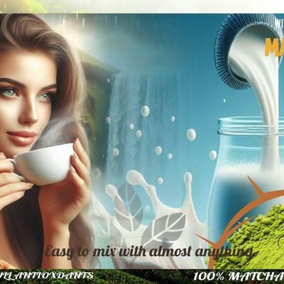 Eteasy Stevia Leaf Extract Natural Sweetener Sugar Free Zero-Calorie Powder
