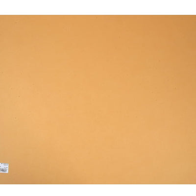 Canson Colorline 300 GSM Grainy 50 x 65 cm Coloured Drawing Paper Sheets(Leather, 10 Sheets)