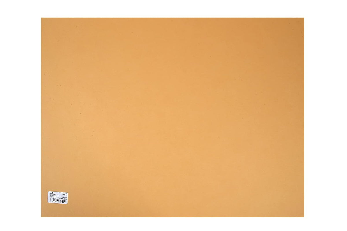 Canson Colorline 300 GSM Grainy 50 x 65 cm Coloured Drawing Paper Sheets(Leather, 10 Sheets)