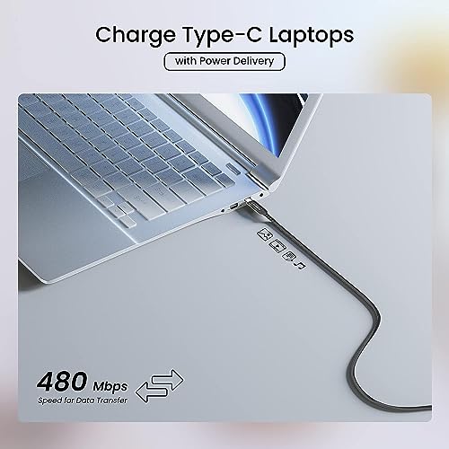 Ambrane 2-in-1 Type-C & Lightning Cable with 60W Fast Charging, PD Technology, 480Mbps Data Sync, Braided Cable Compatible with All Type-C & iPhone, iPad, Macbook & Airpods, 1.2m (ACDCS-12, Black)