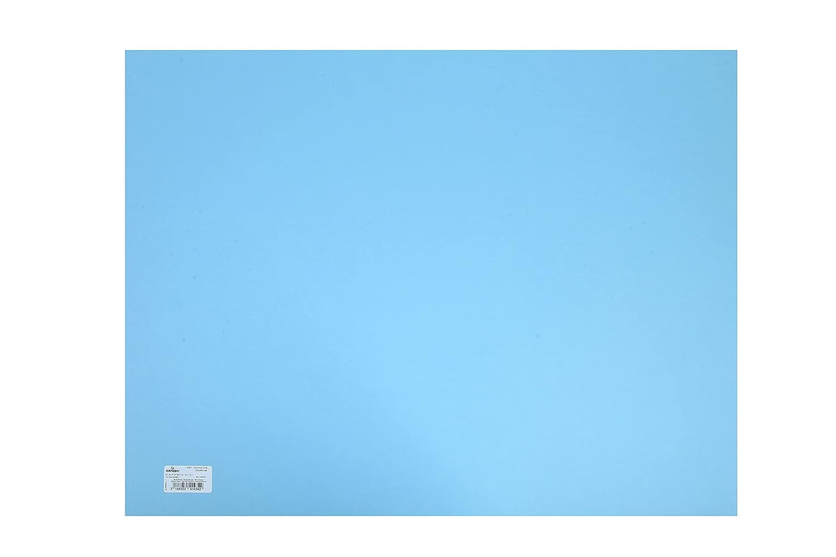 Canson Colorline 300 GSM Grainy 50 x 65 cm Coloured Drawing Paper Sheets(Sky Blue, 10 Sheets)