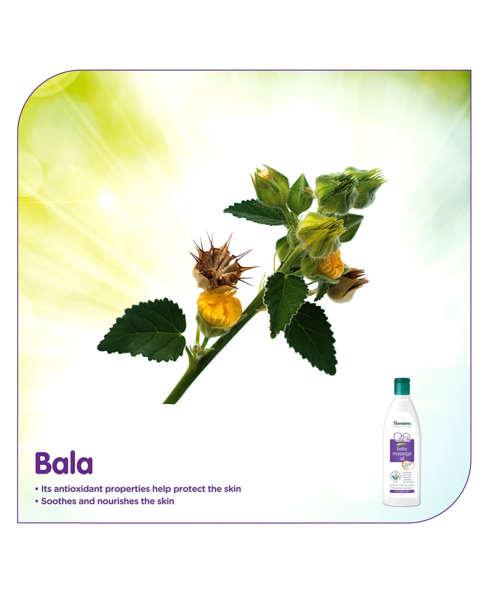Himalaya Baby Massage Oil