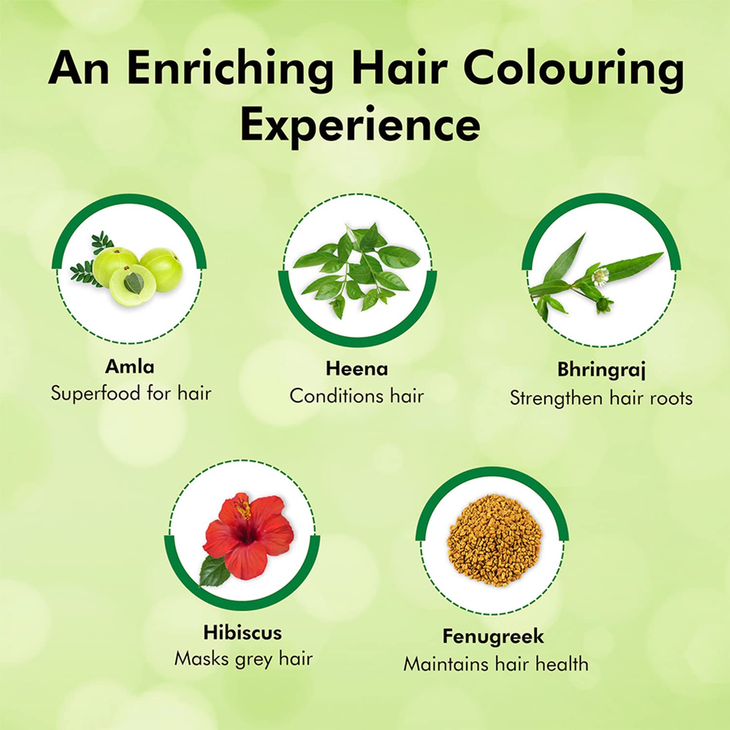 4x Indica Easy Hair Color Shampoo- Natural Black for Women and Men| Pump pack with Herbal Extracts |Grey Coverage in 10mins | Ammonia Free | 180ml each (Pack of 4)