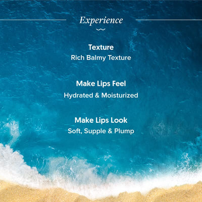 Aqualogica Radiance+ Plump Lip Balm with Watermelon and Shea Butter - Lip Mask for Heals, Hyperpigmentation & Hydrates Chapped Lips for Women & Men -15g